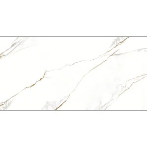 Porcelanato DELTA VENE DORO POLIDO 60X120 2,88M