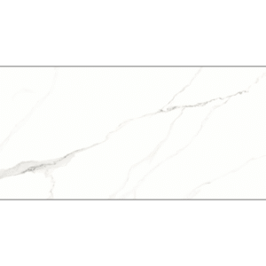 Piso DAMME STATUARIO ACETINADO 62X121 AR12187 2,25M